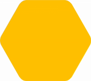 hexagon-icon-bee